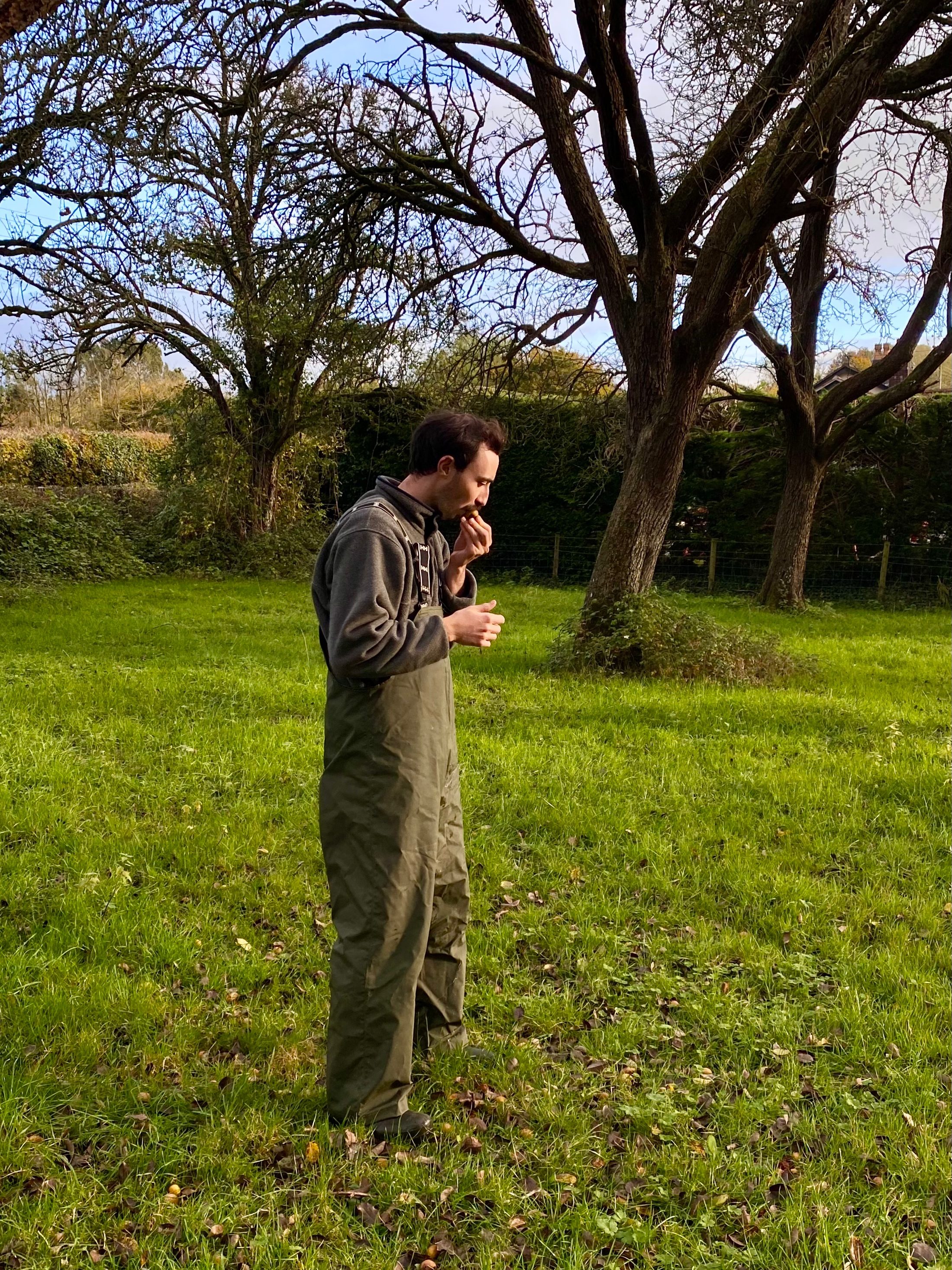 Rob tasting apples in a Somerset orchard